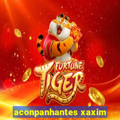 aconpanhantes xaxim